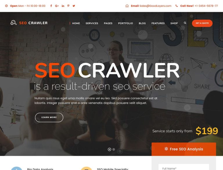 SEO-Crawler-WordPress-Theme