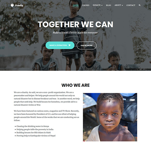 Zakra-Charity-WordPress-Charity-Theme