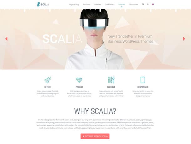 scalia-wordpress-theme