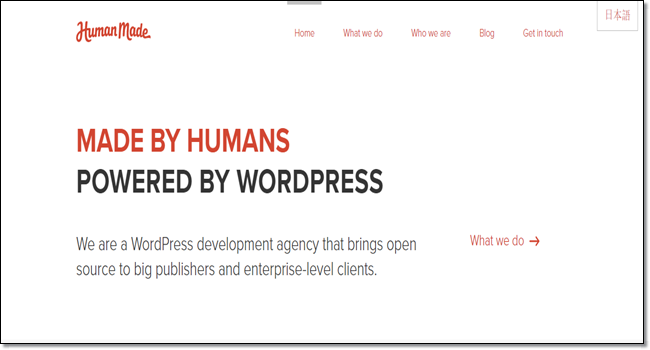 wordpress development agency 